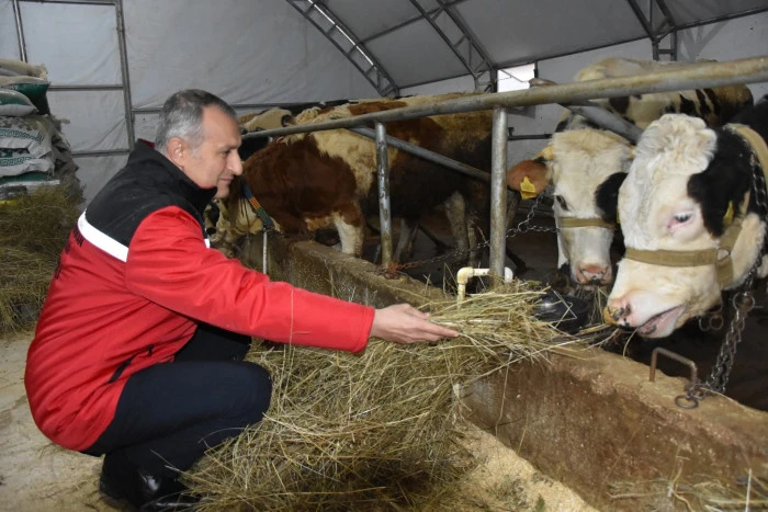 Kırsal Kalkınma Destekleri Ordu&rsquo;da Yatırıma D&ouml;n&uuml;şt&uuml;
