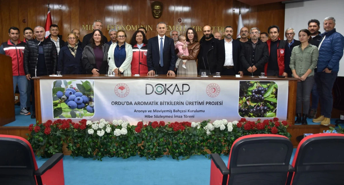 MAVİYEMİŞ VE ARONYA ÜRETİMİ YAYGINLAŞIYOR