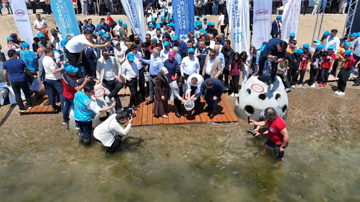 &ldquo;Yaşamın İzinde: Deniz Yuvaları Projesi&rdquo; Darıca Sahili&rsquo;nde B&uuml;y&uuml;yor